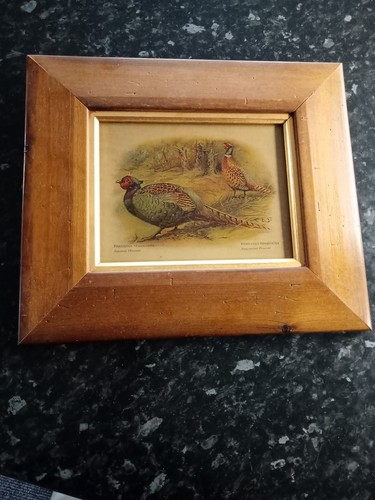 Vintage framed japanese - vintage,