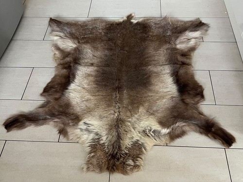 Genuine scandinavian reindeer - genuine,