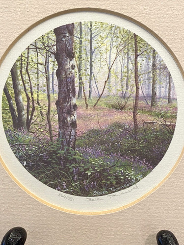 Steven townsend print litho - steven,