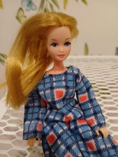 PRETTY VINTAGE 1970s PALITOY