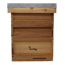 National bee hive - national, keeping