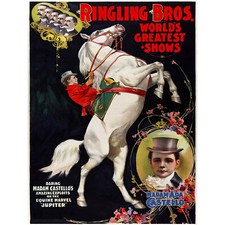 VINTAGE ADVERT CIRCUS RINGLING