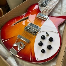 12- String  360 Style Electric