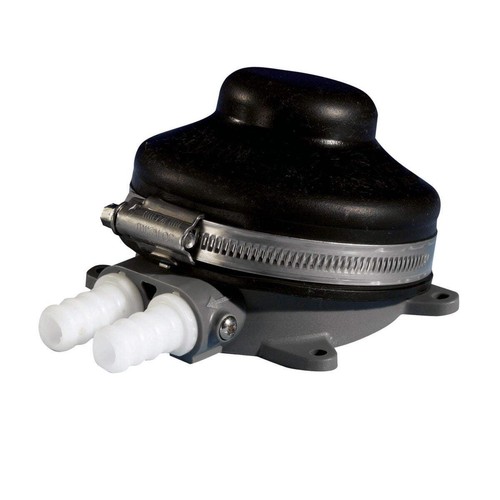 Whale babyfoot standard - standard, pump