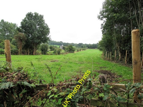 Photo 6x4 grazing land - 6x4,