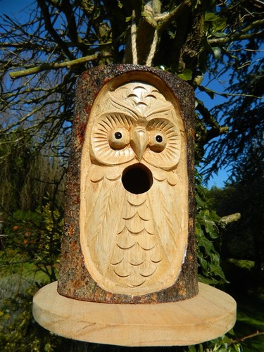 Wooden bird house - bird, nesting
