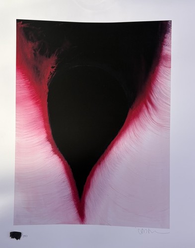 Anish kapoor signed limited - anish,