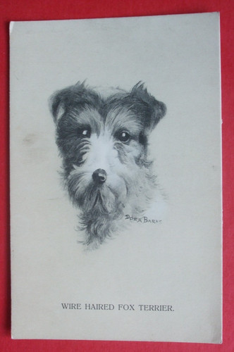 Old dogs postcard - old,