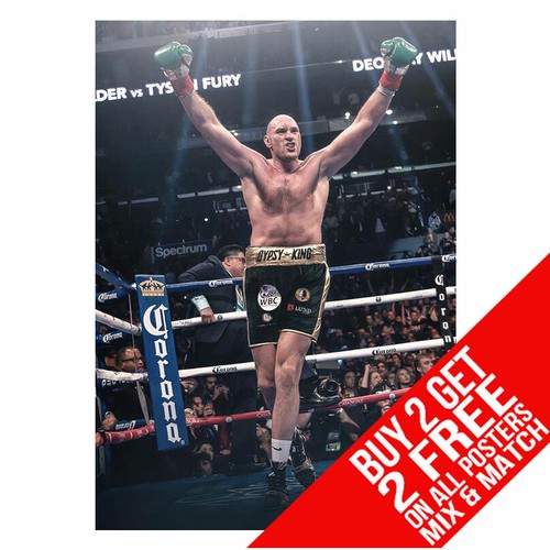 Tyson fury bb6 wilder - bb6,