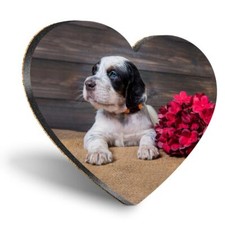 Heart mdf coaster blue eye - coaster,