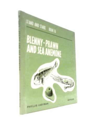 Blenny prawn and - blenny,, anemone