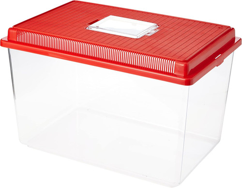 Plastic container for small - plastic,