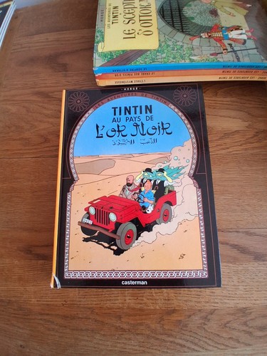 Tintin pays or noir - de, by