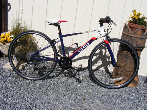 Boys girls wiggins - wiggins, bike