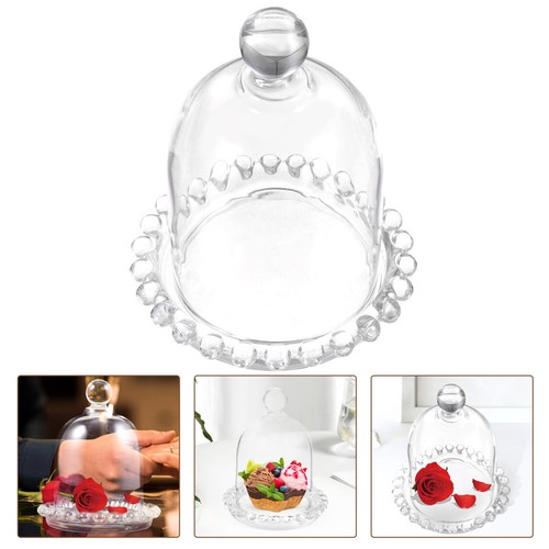 Cake dome cloche glass - dome,