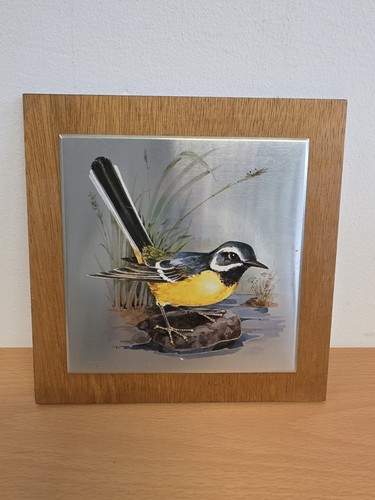 Vintags grey wagtail - wagtail, bird