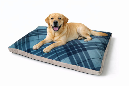Luxury tartan design dog - luxury,