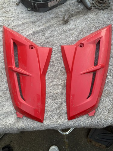 Quadzilla dinli 450 - dinli,