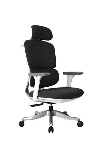 Ergonomic executive high - ergonomic, high-back