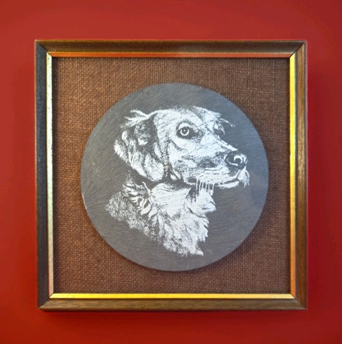 Vintage spaniel dog portrait - spaniel,
