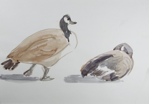 Original watercolour study - watercolour,, 'study