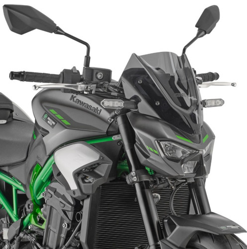 Kawasaki 900 2026 screen - 900,