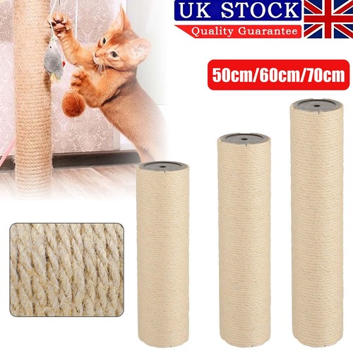 Cat scratching post - cat,