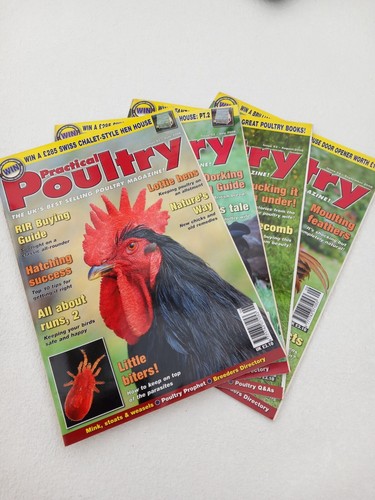 Practical poultry 4 issues - poultry,