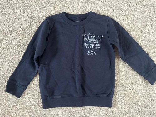 Navy blue next dino jumper