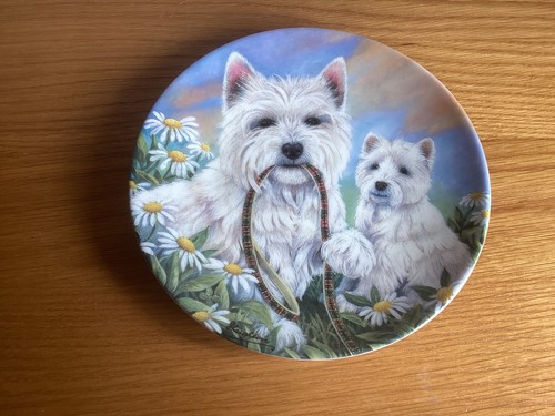 Royal worcester danbury mint - royal,