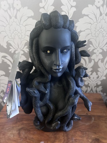 Midnight fright medusa - midnight,