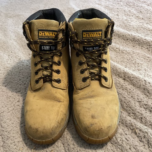 Dewalt apprentice steel - ., toe