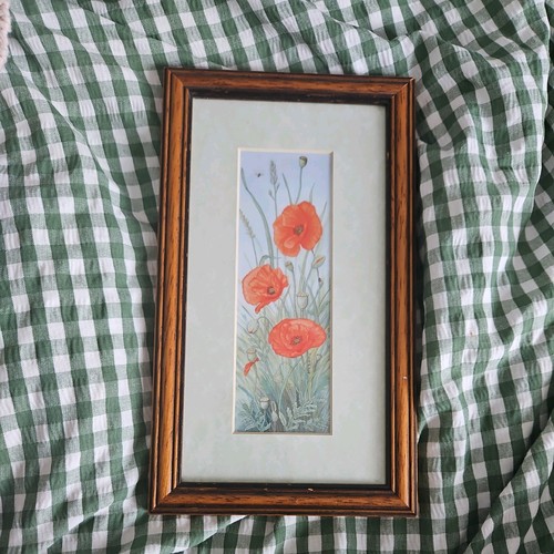 Lovely vintage framed - lovely,
