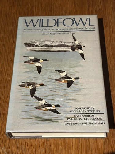 Wildfowl identification - wildfowl:,