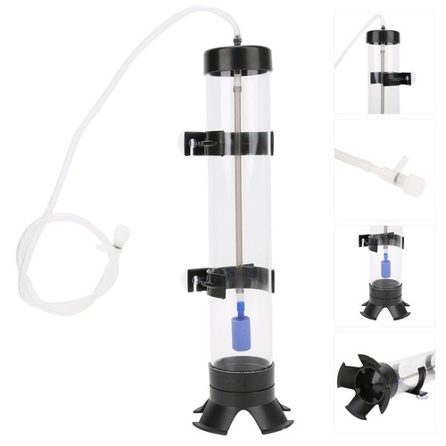 Brine shrimp eggs incubator - eggs,