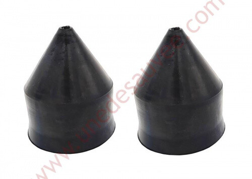Rear lower control - lower,