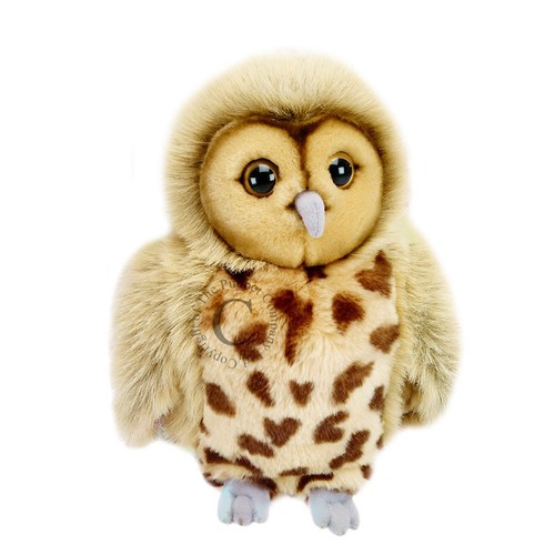 Owl puppet tawny - owl, hand