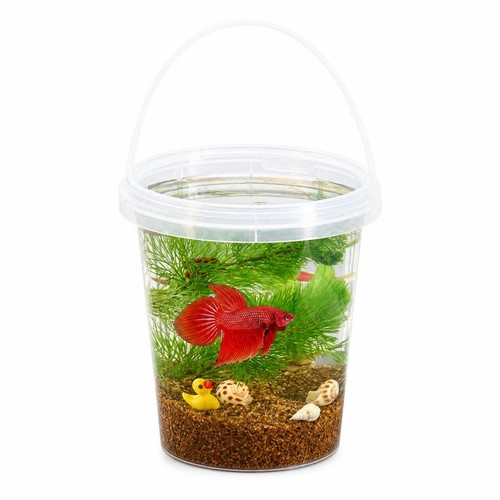 Self cleaning mini fish - cleaning, tank