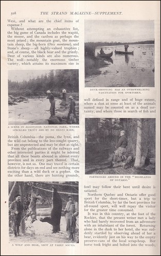 The land nimrod - of, :
