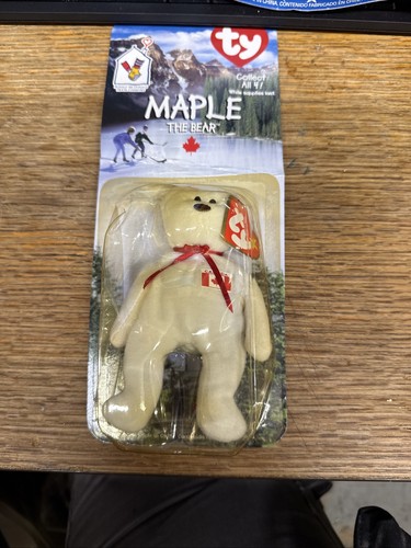 Maple the bear - bear, teenie