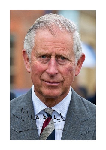 King charles iii a4 - king,
