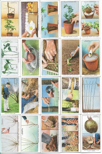 Lovely set garden hints - 50,