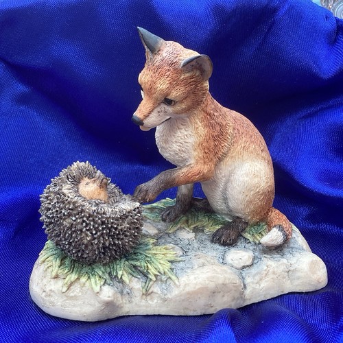 Fox cub meets hedgehog - cub,