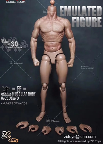 Scale male muscle body - muscle,