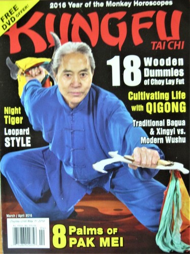 Kung tai chi master - fu,