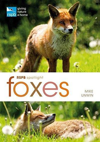 Rspb spotlight foxes - spotlight:, unwin