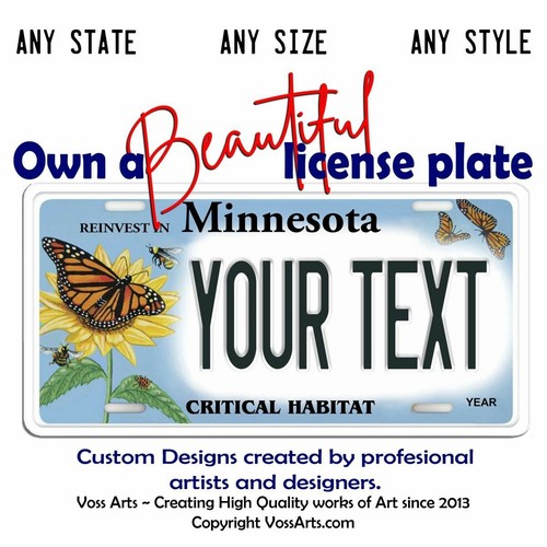Minnesota license plate - minnesota,
