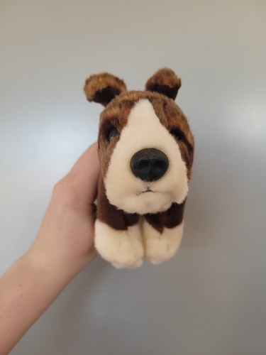 Cute brown and - cute,