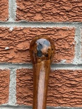 Swagger Stick Oak Perhaps With Root Ball