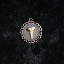 Stunning pendant with real